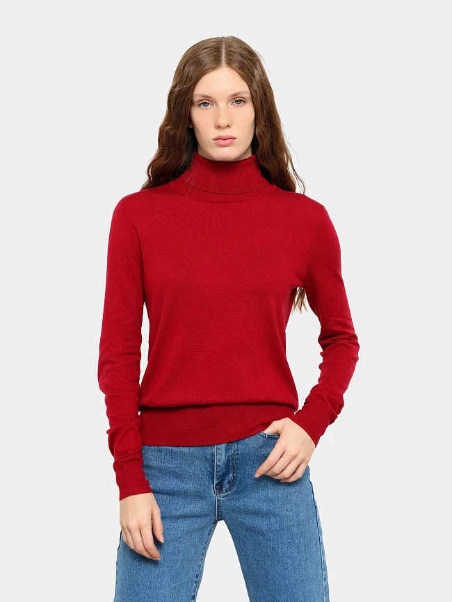 Водолазка женская всесезонные ANT007-11 | 3