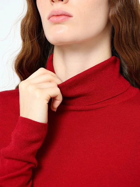 Водолазка ANT007-11 | 5