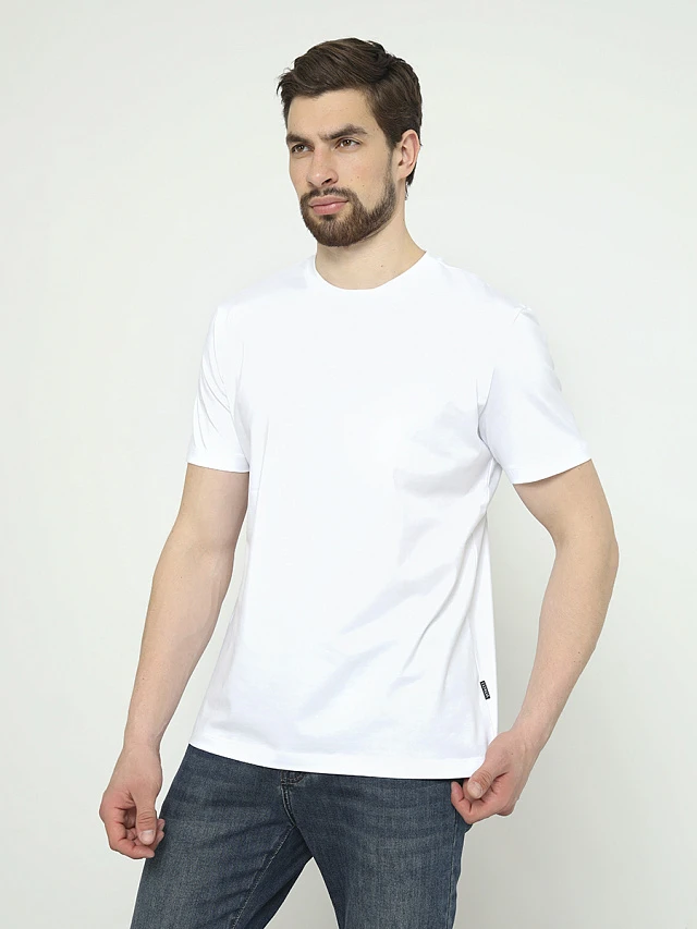 Футболка мужская всесезонные TM0476-02 | 1