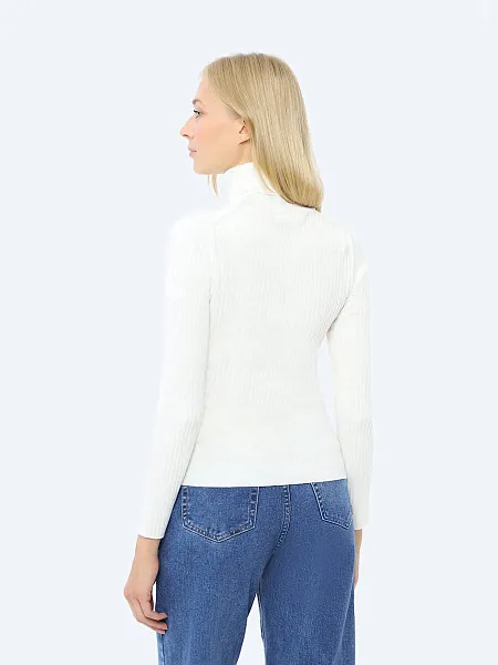 Водолазка EF10102-09 EF10102-09 | 3