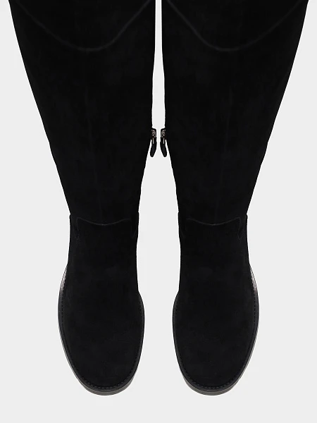 Ботфорты 1731149 1731149 | 4