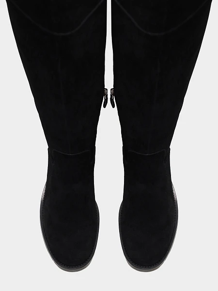 Ботфорты 1731149 1731149 | 4