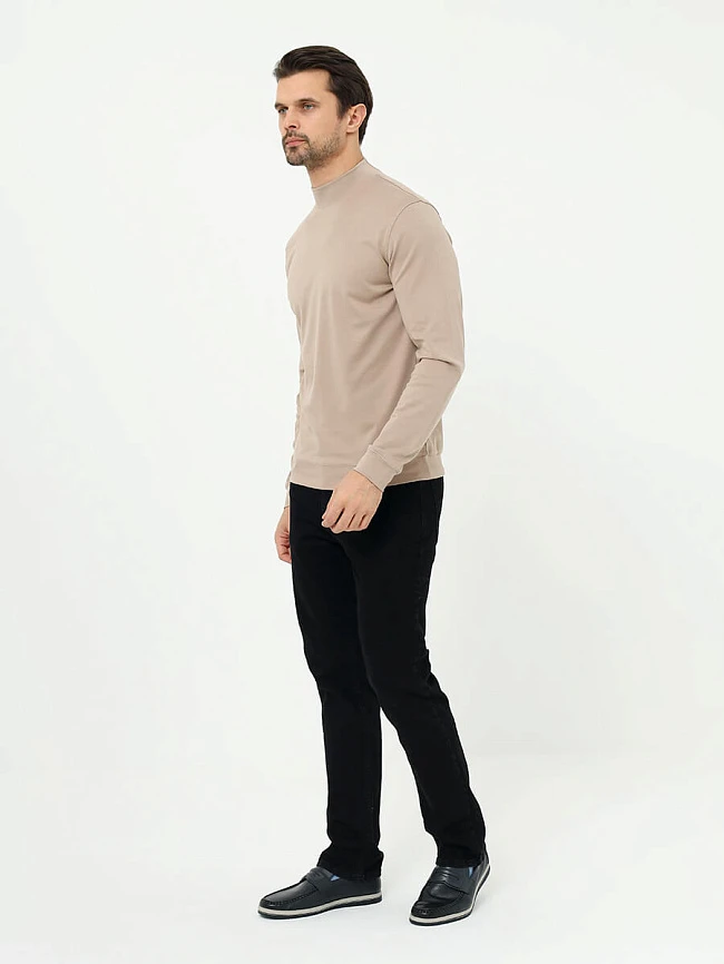 Водолазка мужская всесезонные TM1019-08 | 4