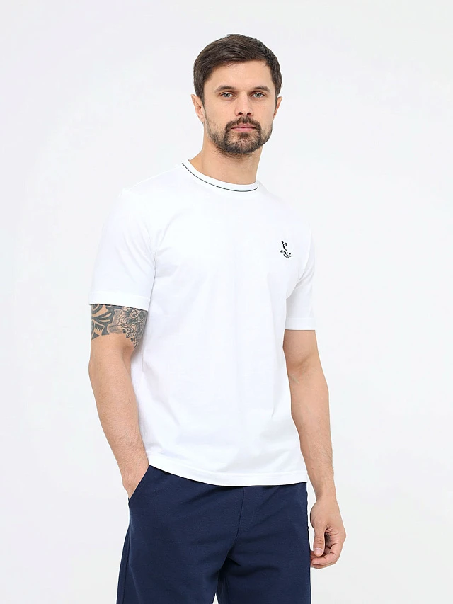 Футболка мужская всесезонные TM0290-02 | 1