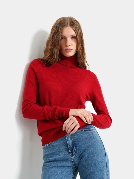 Водолазка ANT007-11 | 1