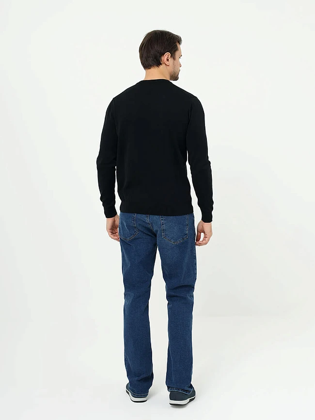 Джемпер мужской всесезонный TM0401-01 | 5