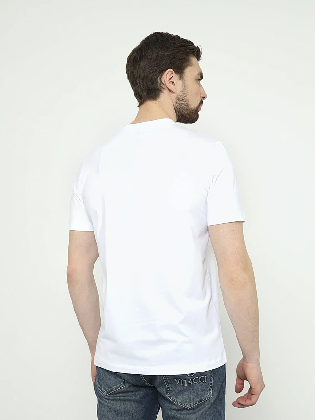 Футболка мужская всесезонные TM0476-02 | 3