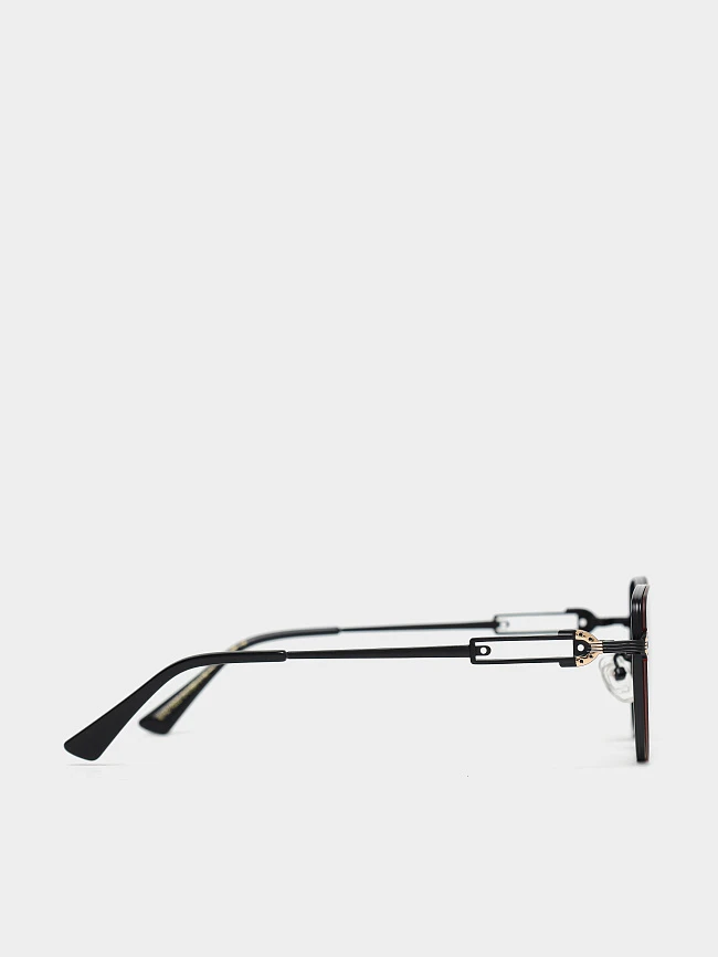 Очки EV26035-2 | 2