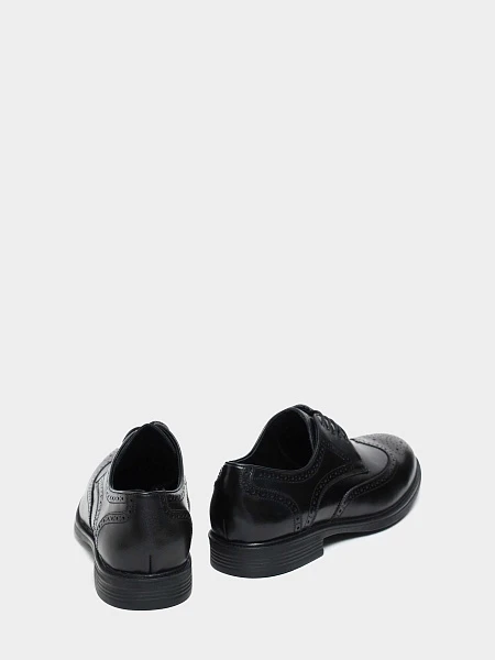 Полуботинки M24VC082 M24VC082 | 3