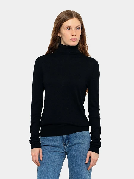 Водолазка ANT007-01 | 1