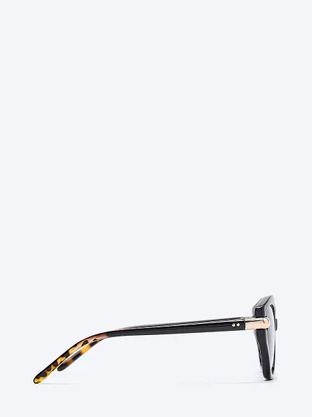 Очки EV25016-2 EV25016-2 | 3