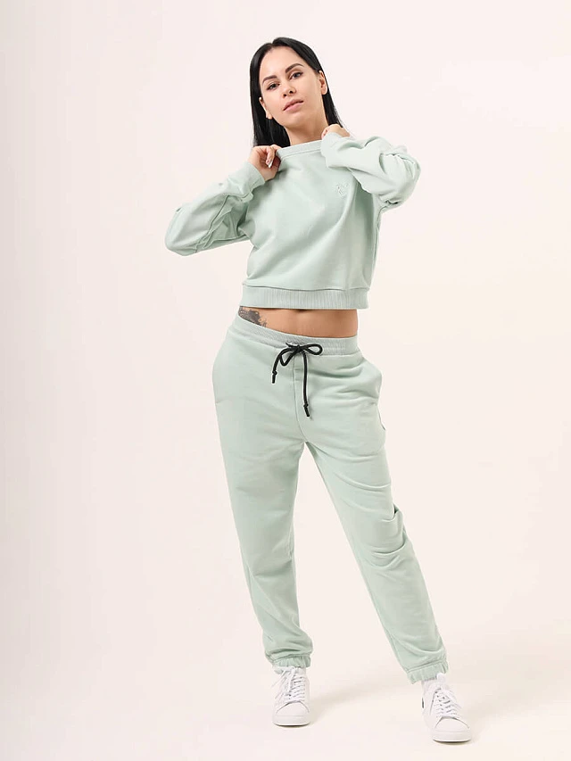 Костюм спортивный (джемпер+брюки) женские всесезонные SP8405-4 | 1