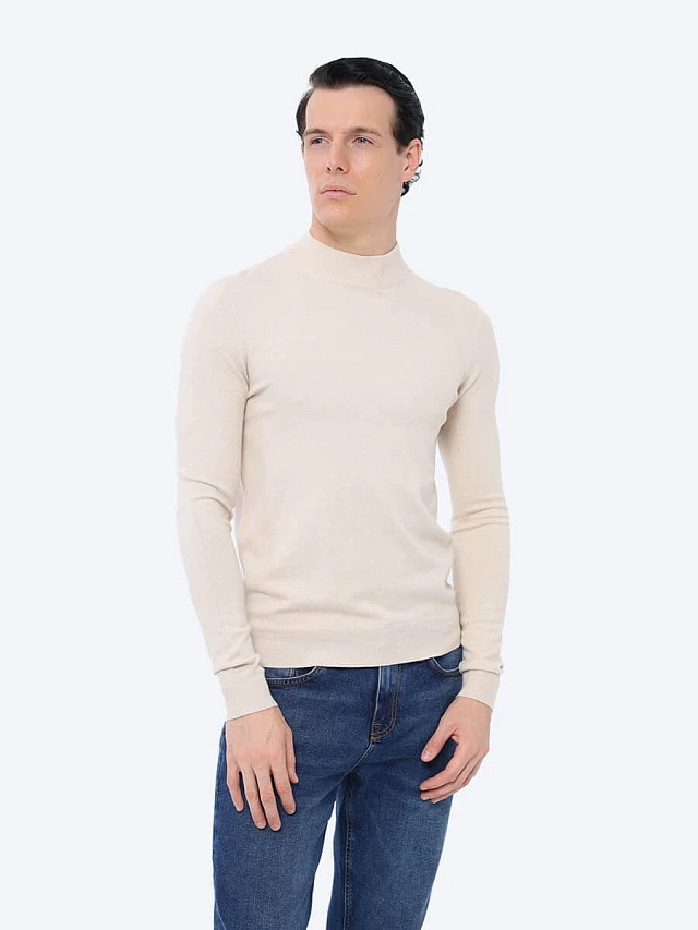 Водолазка мужская всесезонные TM0102-08 | 1