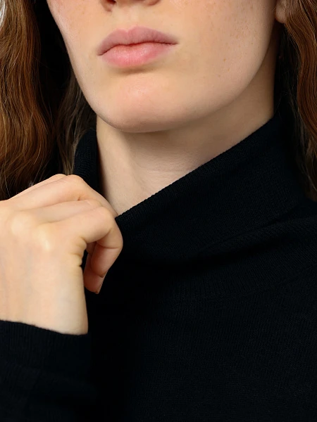 Водолазка ANT007-01 | 4