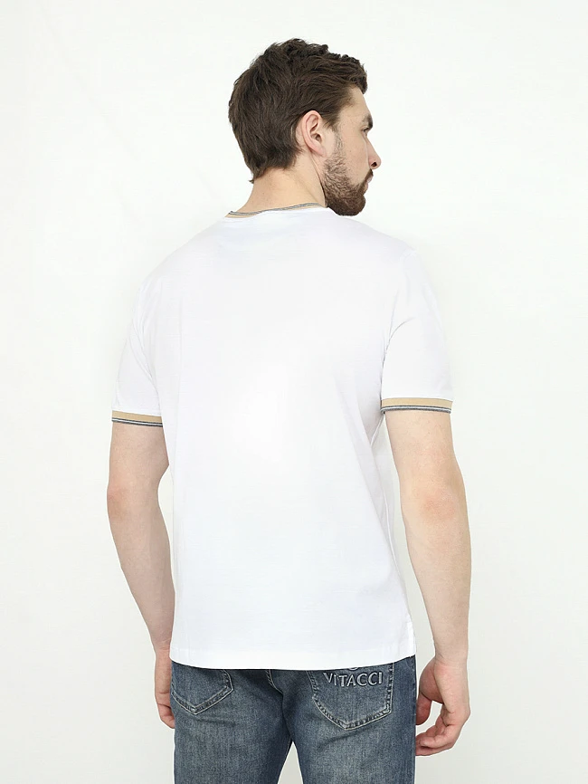 Футболка мужская всесезонные TM0152-02 | 3