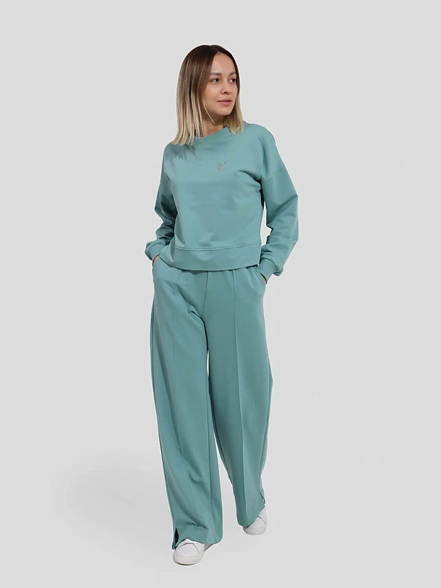 Костюм спортивный (джемпер+кюлоты) женские всесезонные SP014-13 | 1