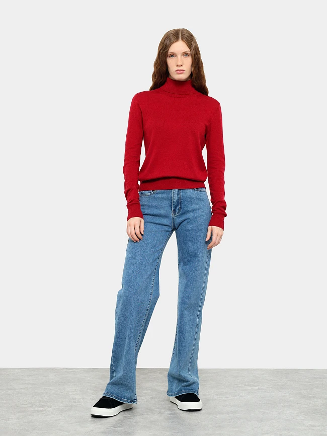 Водолазка женская всесезонные ANT007-11 | 4