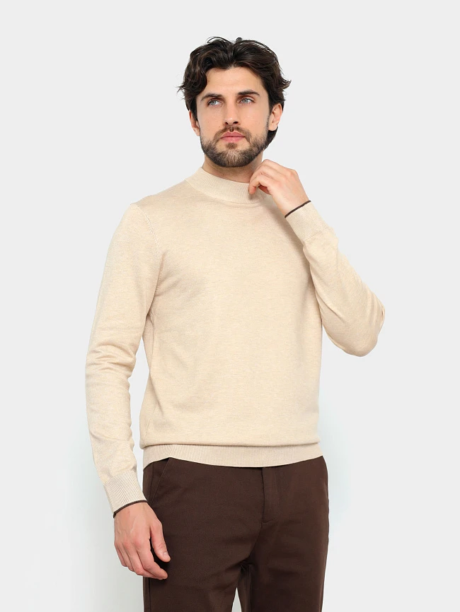 Джемпер мужской всесезонный TM-Z25-09-08 | 5