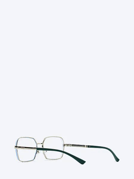 Очки EV25099-1 EV25099-1 | 4