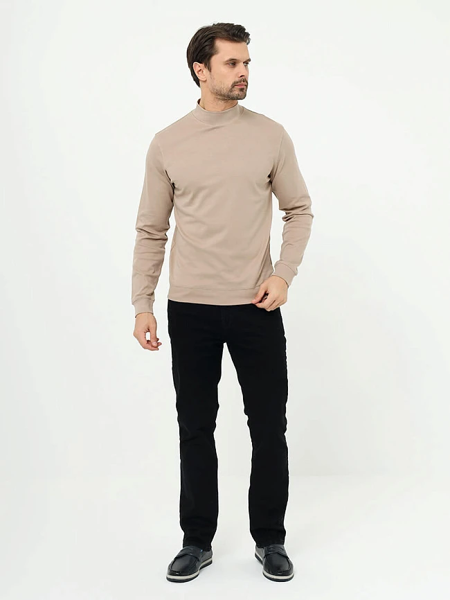 Водолазка мужская всесезонные TM1019-08 | 3