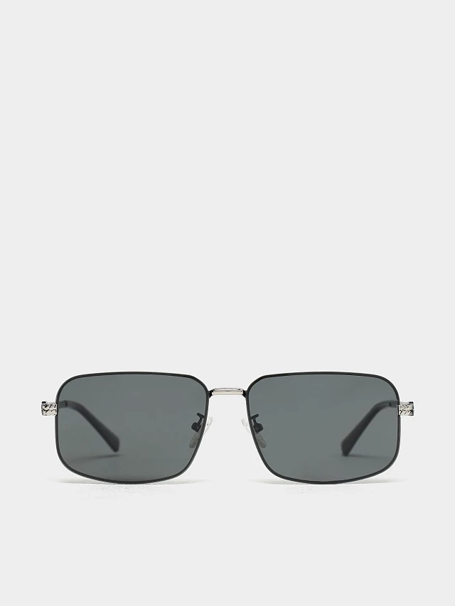 Очки мужские летние EV26030-1 | 1