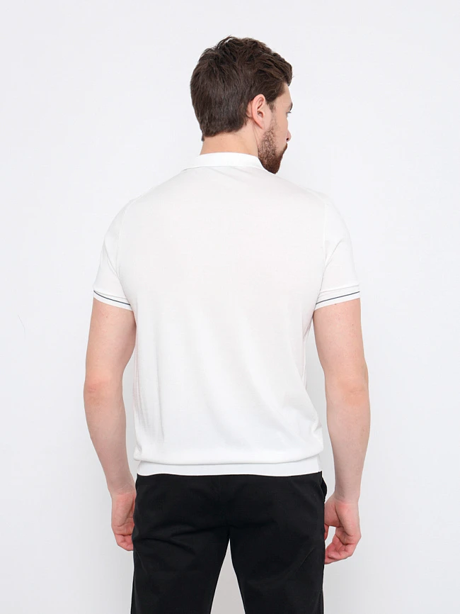 Поло мужское всесезонные TM660-02 | 3