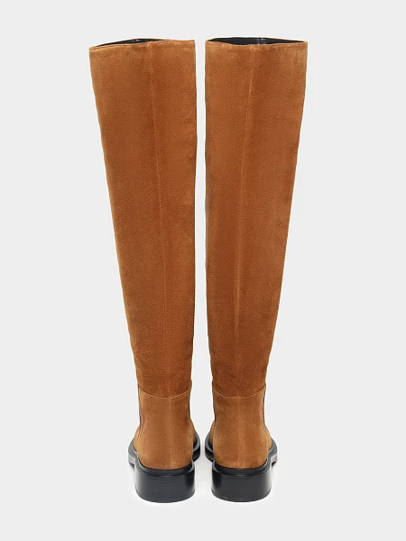 Ботфорты 1820419 1820419 | 5