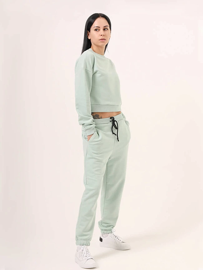 Костюм спортивный (джемпер+брюки) женские всесезонные SP8405-4 | 2