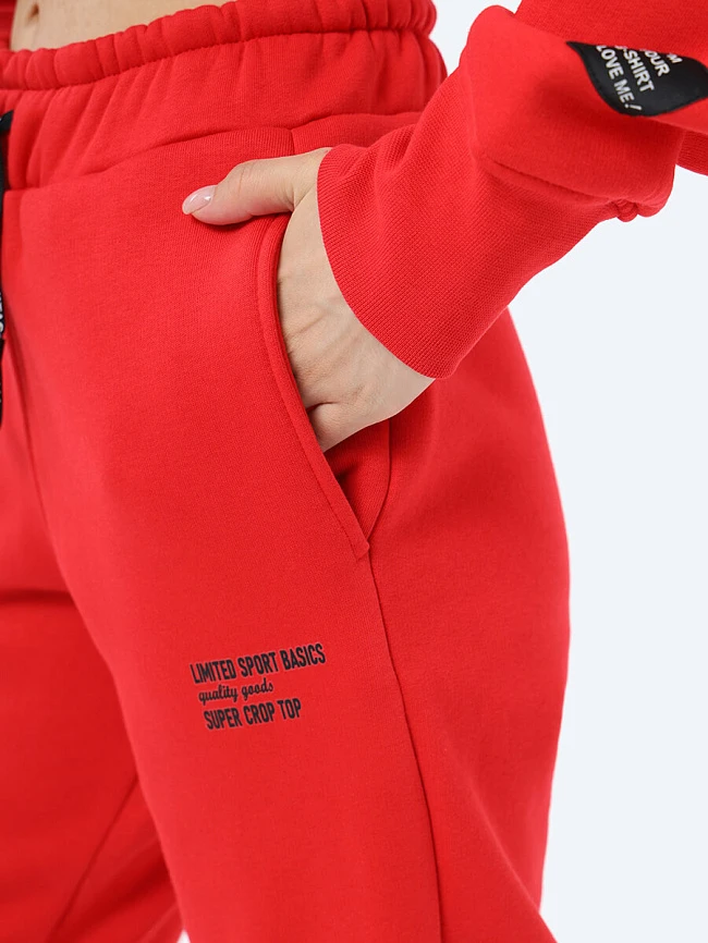 Комплект (джемпер с капюшоном+брюки) женские всесезонные EF8516-03 | 8