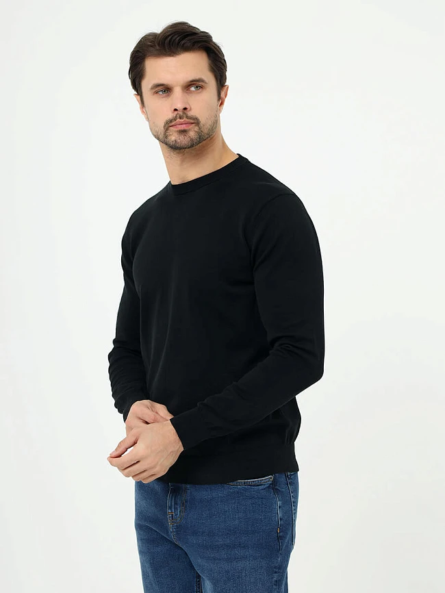 Джемпер мужской всесезонный TM0401-01 | 6