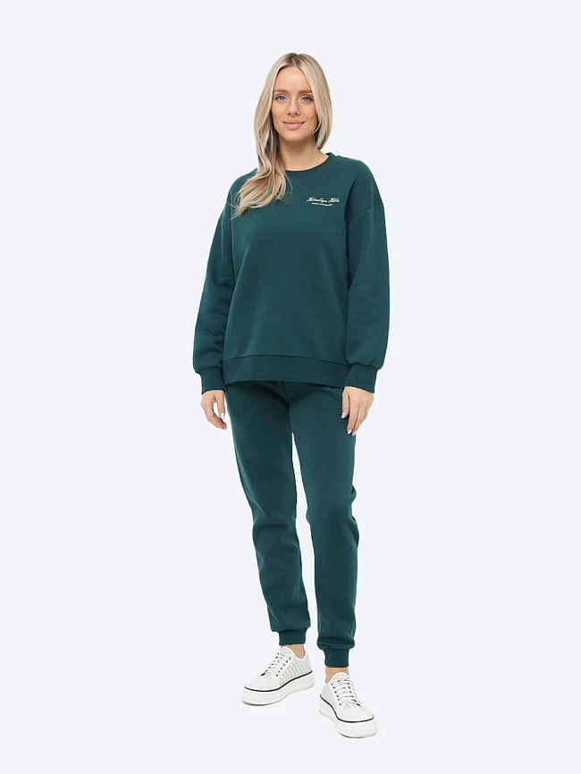 Джемпер спортивный женский всесезонные TE8067-06 | 5