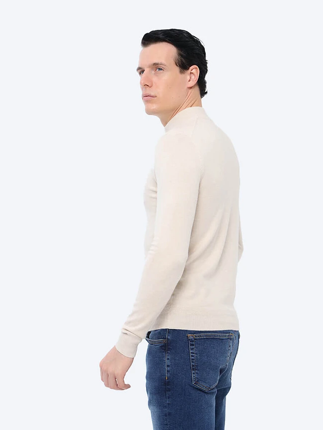 Водолазка мужская всесезонные TM0102-08 | 3