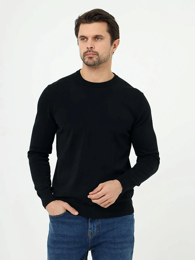 Джемпер мужской всесезонный TM0401-01 | 1