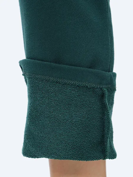 Брюки спортивные TE8084-06 TE8084-06 | 5