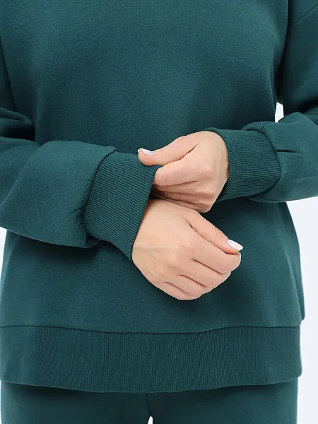 Джемпер спортивный TE8067-06 TE8067-06 | 3