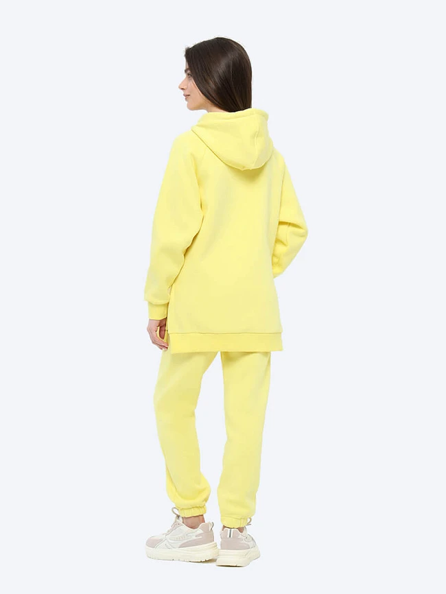 Комплект (джемпер спортивный+брюки спортивные) женские всесезонные TO97241-27 | 4