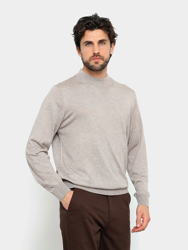 Джемпер мужской всесезонный TM-Z25-05-08 | 5