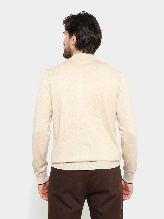 Джемпер мужской всесезонный TM-Z25-09-08 | 4