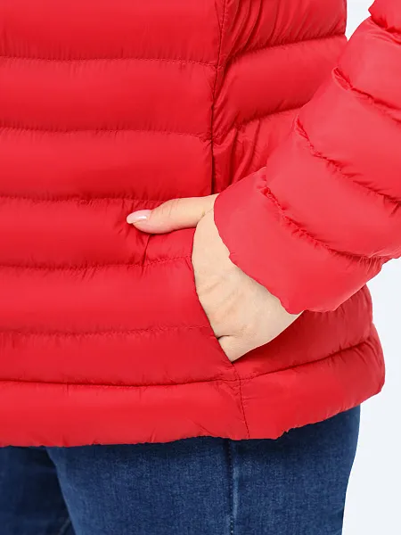 Куртка женская демисезонное  EF201-03 EF201-03 | 4