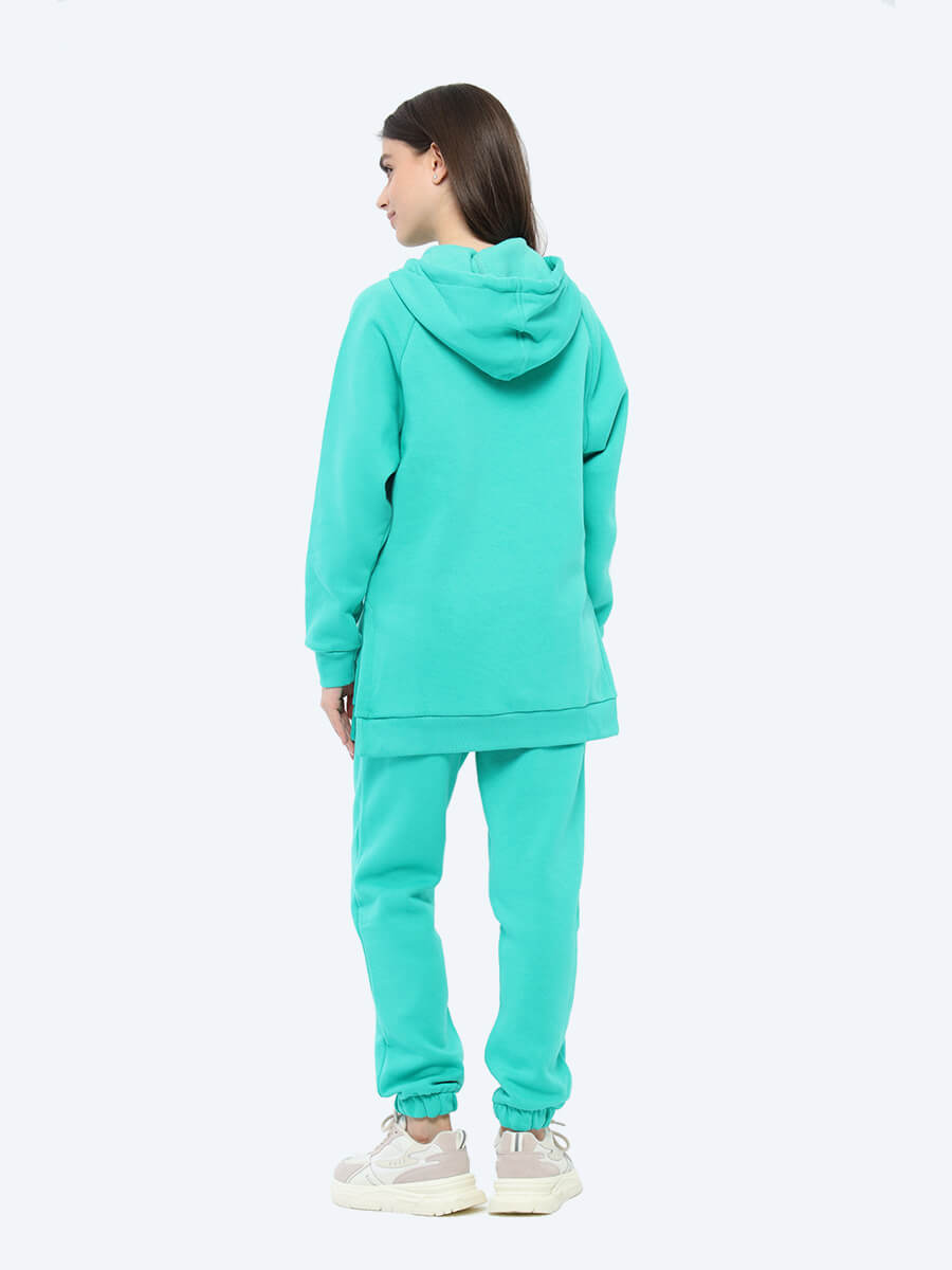 TO97241-06 Комплект (джемпер спортивный+брюки спортивные) женский зеленый+70% хлопок, 30% полиэстер